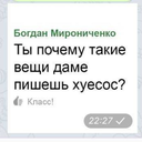 arctichalestorm avatar