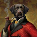 arcticsheepdog avatar