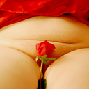 arcticwarming avatar