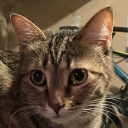 ardentargentum avatar