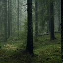 arderemos-juntos avatar