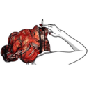 ardillas-por-doquier avatar