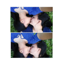 are-my-only-escape avatar