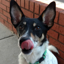 are-you-being-served avatar