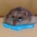 arealistonao3 avatar