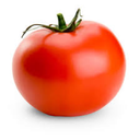 arealtomato avatar