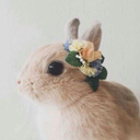 areferencetoinfinity avatar