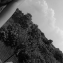 arefusaltosink avatar