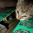 arenaconspiracy avatar