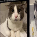 aretheybabygirl avatar