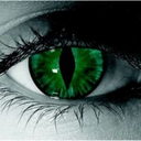 arexyouxafraidxofxthexdark avatar