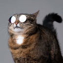 areynoldswrap avatar