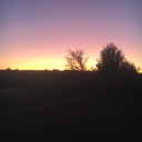 argentbookworm avatar