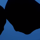 argonavis-blog avatar