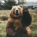 arguedasc1991-blog avatar