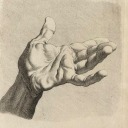 argumentfloyd avatar