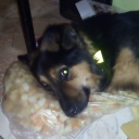 ariadnes-pile-of-stuff avatar