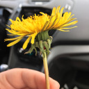 ariadza-writes avatar