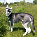 arianacontreras avatar