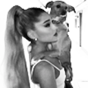 arianagdaily avatar