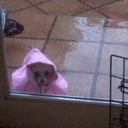 ariannammunger avatar