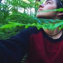 ariannasolis-blog1 avatar