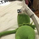 aricinnamoncrunch avatar