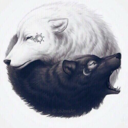 arielbookworm avatar