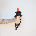 ariendyperalta avatar