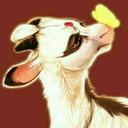 ariesalpineotp avatar