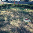 ariko-nanakawa avatar