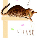 arimamary-ssmykghr avatar