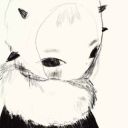 ariolimacidae avatar