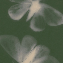 arionamethyst avatar