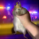 aristocratic-rats avatar
