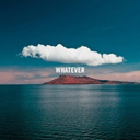 aristotlemcdonald avatar