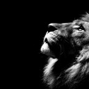 arithecatdood-blog avatar