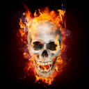 arizona-rising avatar