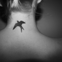 arkadienworld avatar