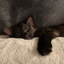 arkhaminfinite avatar