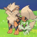 arkieandsprig avatar