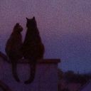 arkvtfbkydfhjutdghj avatar