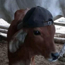arkyti0r avatar