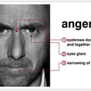 armaarmadillo avatar