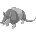 armadillooutpost avatar