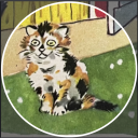 armadillos-dreaming avatar