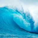 arms-of-the-ocean-zine avatar