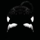 armyforanimals avatar