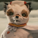 arnicablossoms avatar