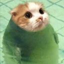 arnolicious99 avatar